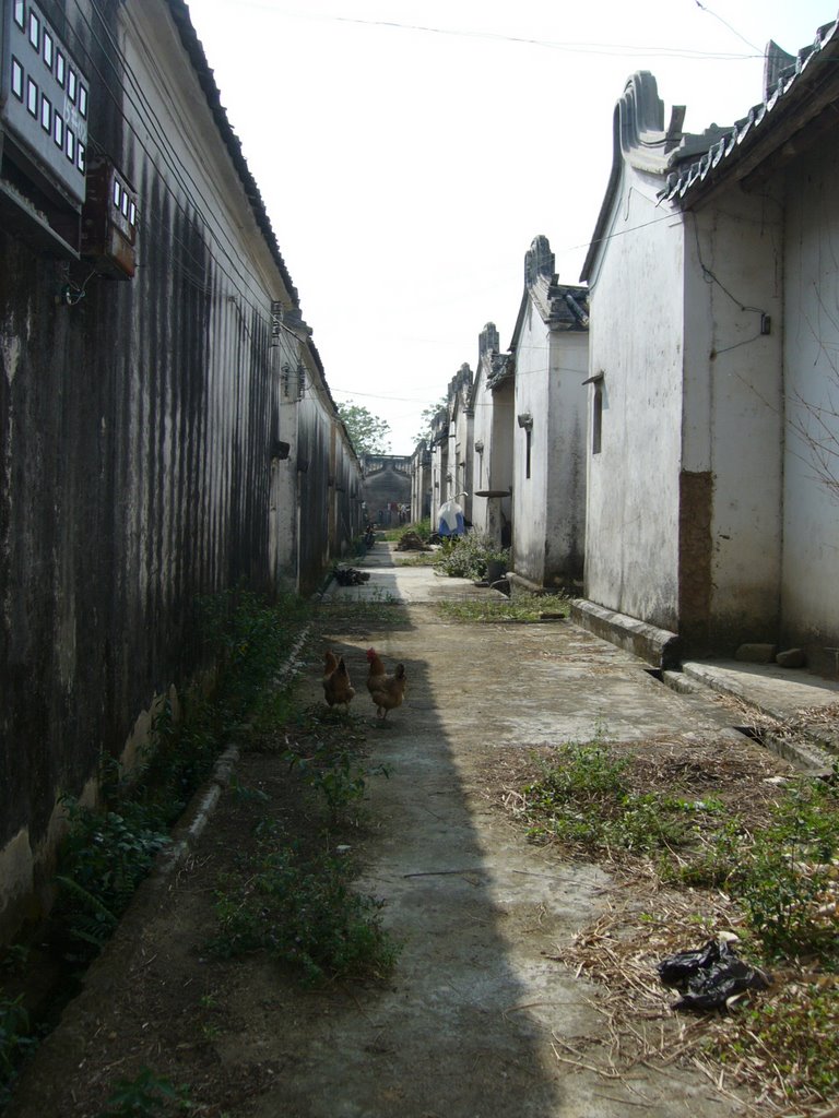 横巷村