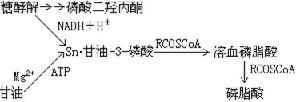 软硬酸碱理论