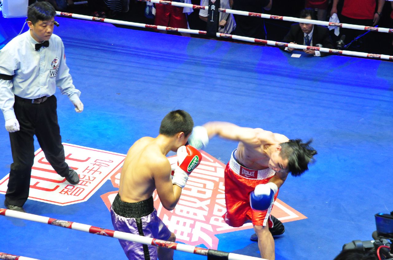  p data-id="gnbksd6m6s">《勇敢的心》是由中韩两国综艺团队联袂打造