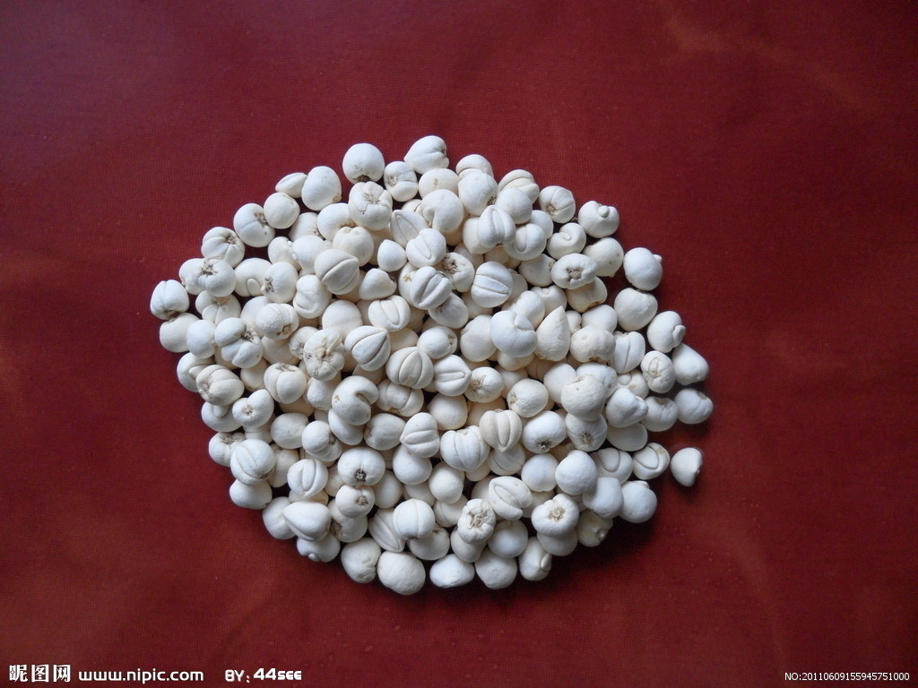  p>梭砂贝母( i>fritillaria delavayi /i>)又称德氏贝母,阿皮卡,是