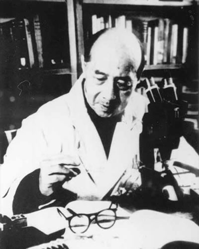 中科院植物研究所标本馆