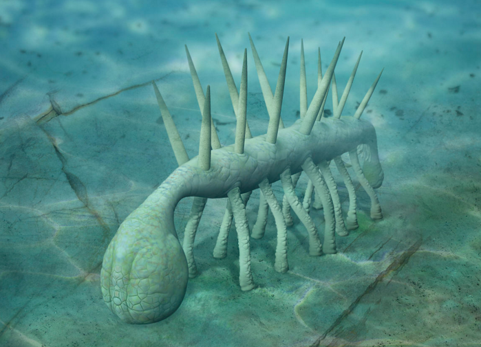  p>怪诞虫是已经灭绝了的一种动物.