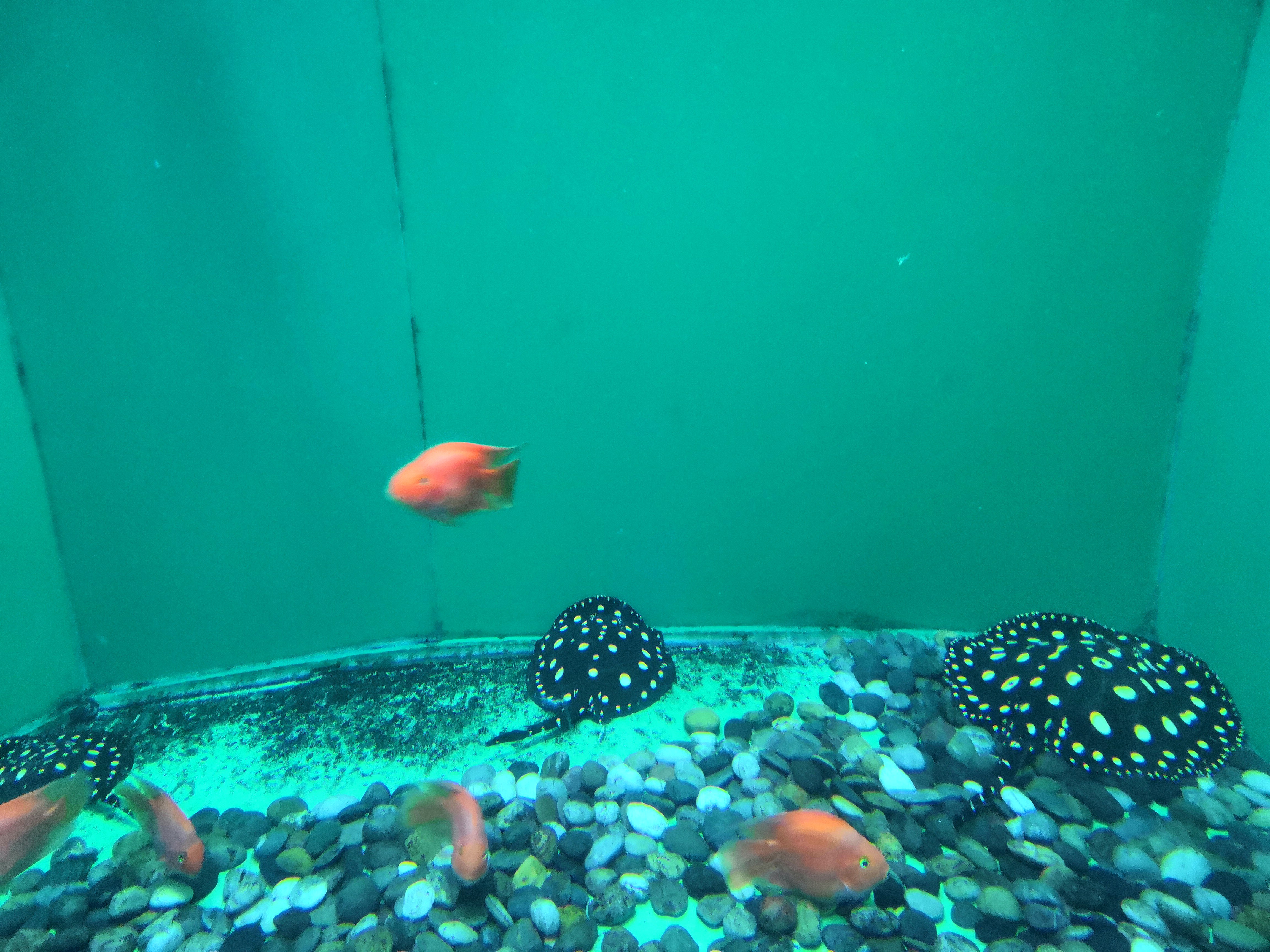  p>青岛 a target="_blank" href="/item/海底世界/14076862" data