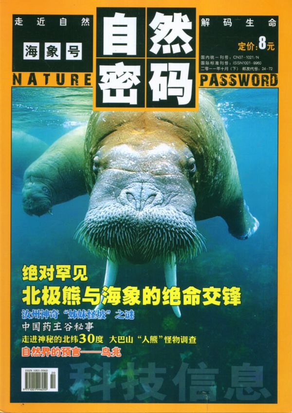 以"地理