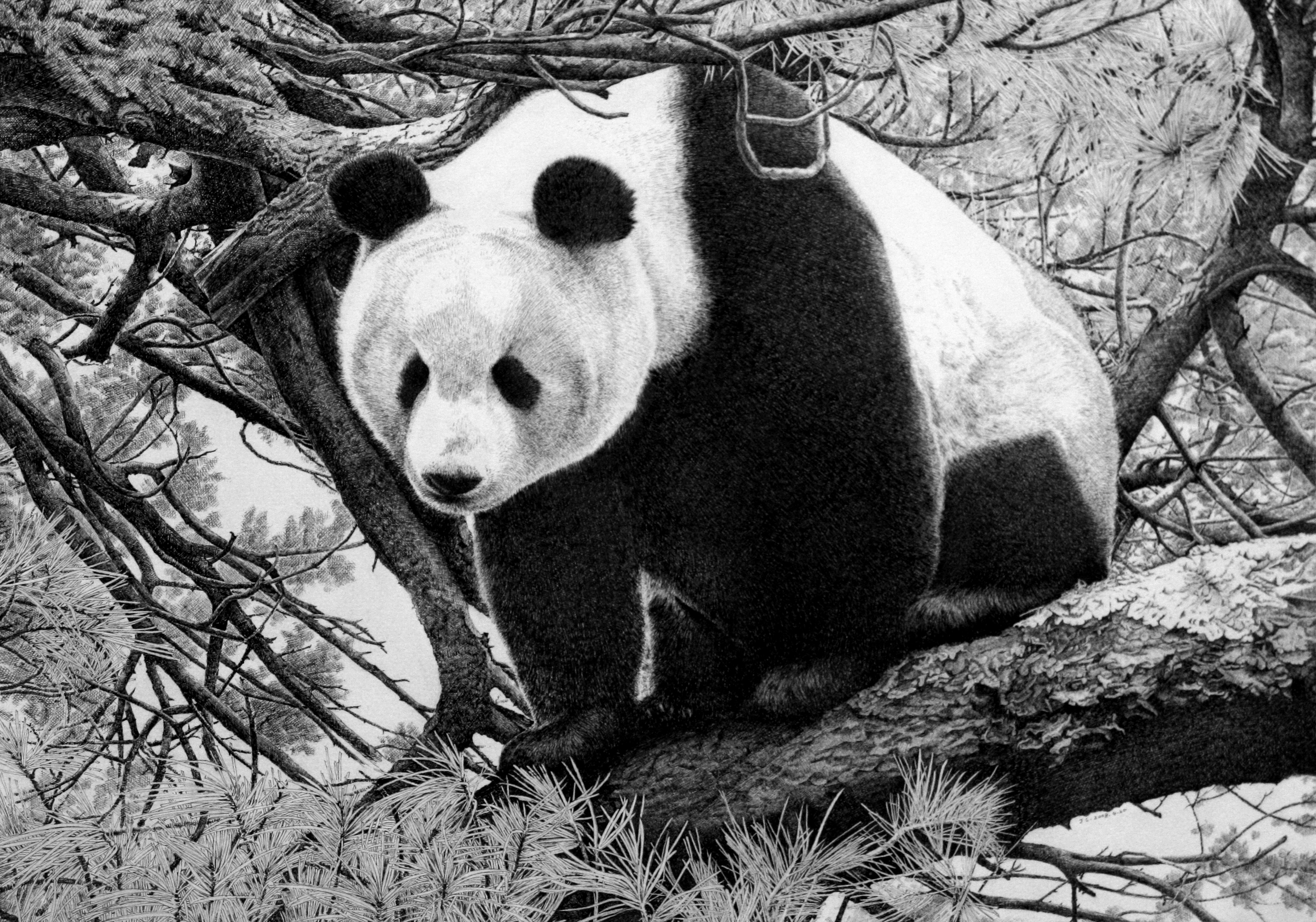 《想念春天》是观画而作,每篇文章都是作者对著名钢笔画家张军朝画作