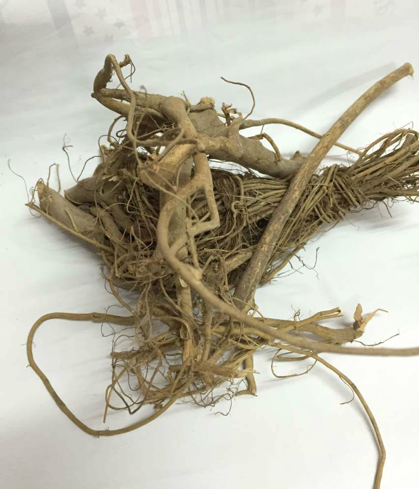  p>水照影,学名 a target="_blank" href="/it