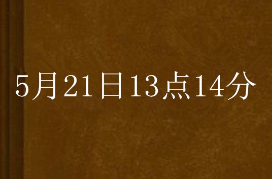 5月21日13点14分