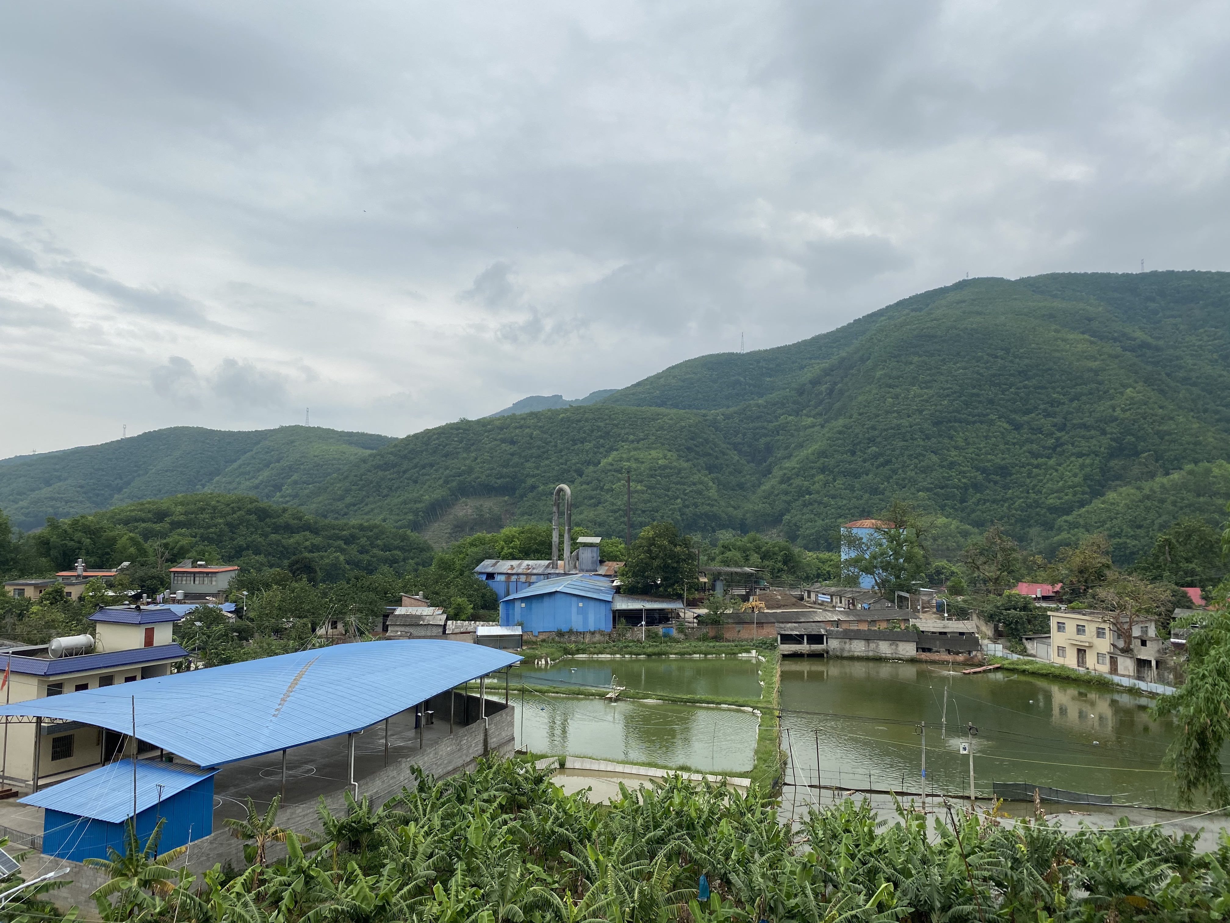  p>勐拉镇荞菜坪小学,隶属于云南省红河州金平县勐拉镇中心小学,原名"