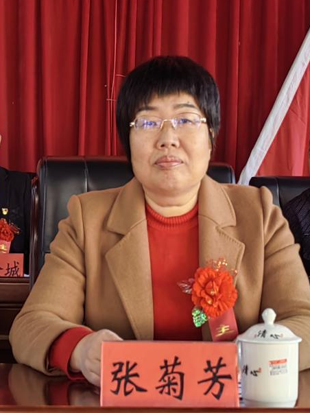  p data-id="u4nkv2mh8g7a">张菊芳,现任泉州市安溪县芦田镇党委书记.