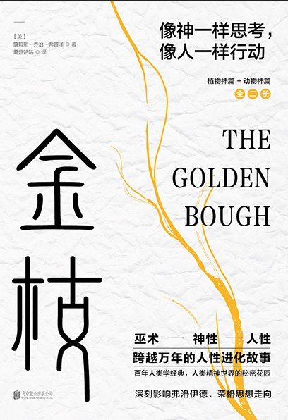 金枝 : 跨越万年的人性进化故事