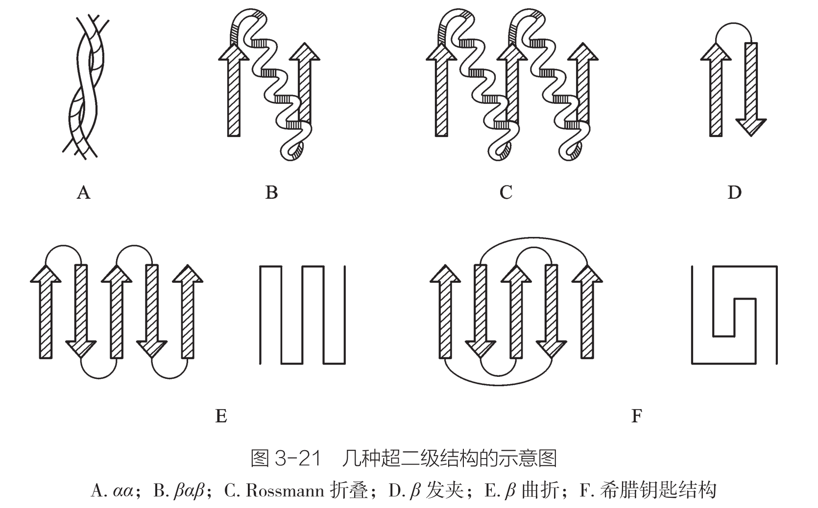 超二级结构