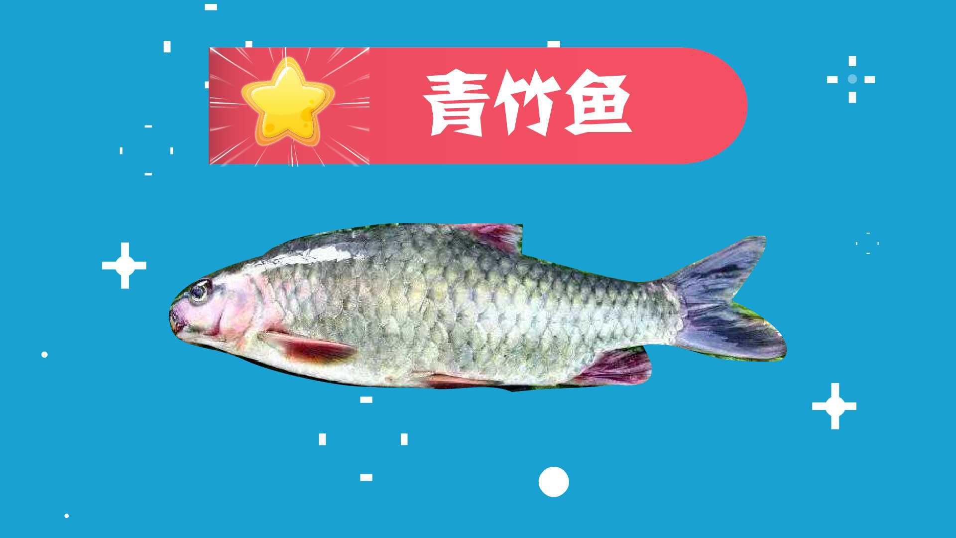 青竹鱼:肉质肥美、鲜嫩爽滑