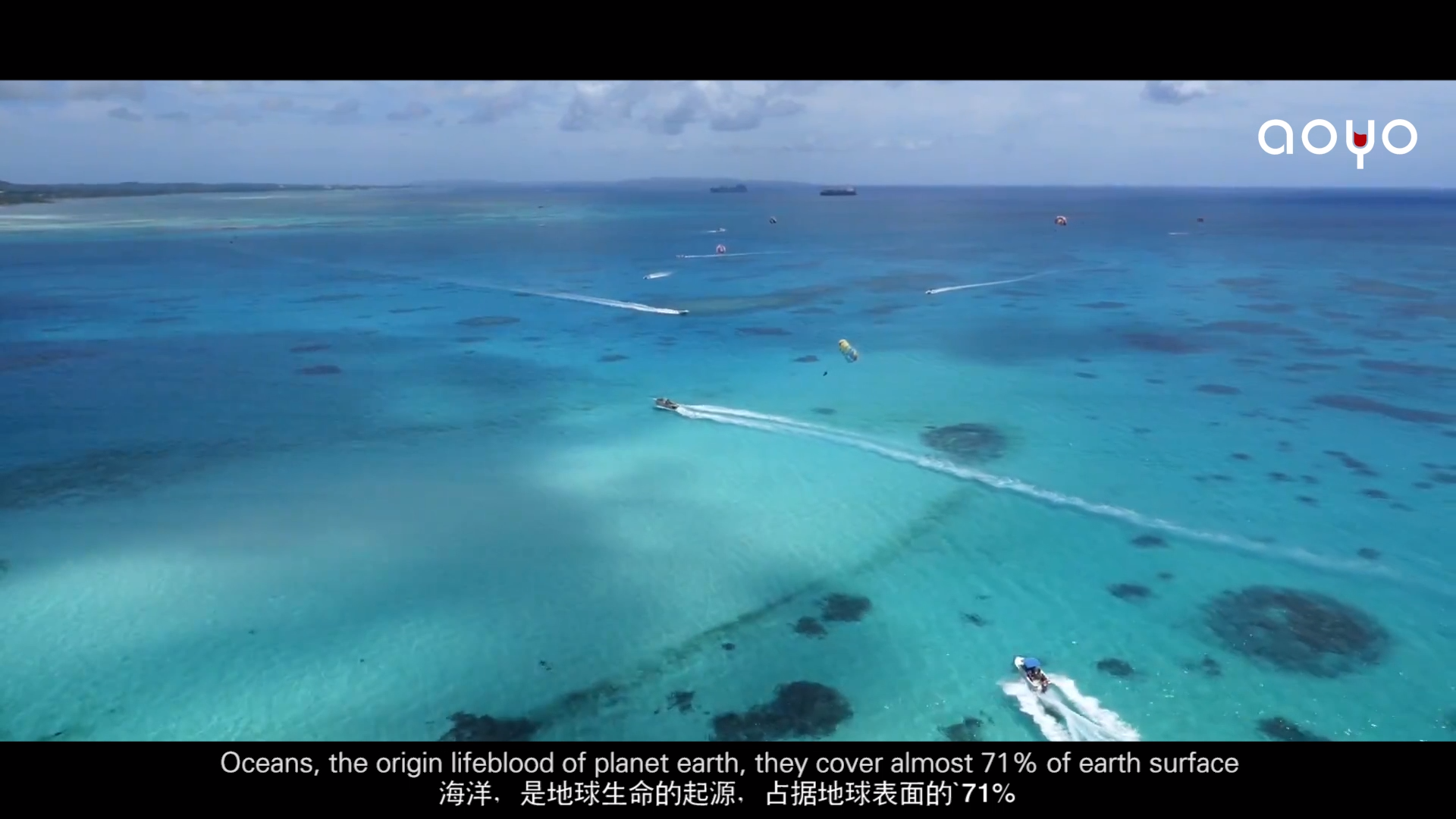 智利进口傲鱼红酒品牌介绍视频