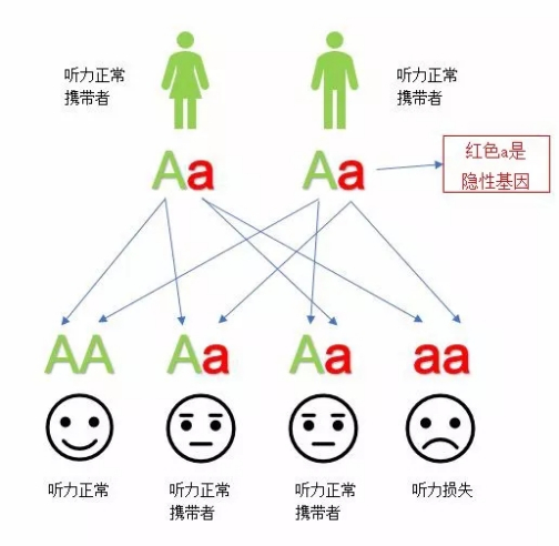 显性遗传_百度百科