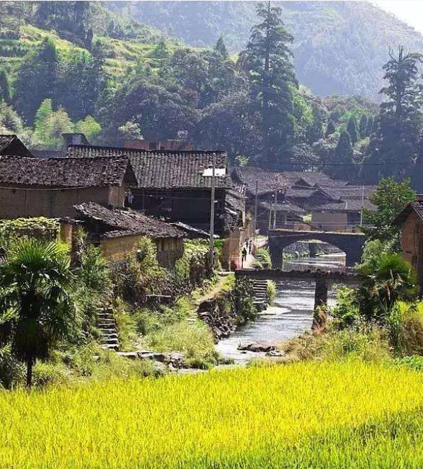  p data-id="gnx11yuxy9">大安乡,隶属于福建省宁德市寿宁县,地处 a