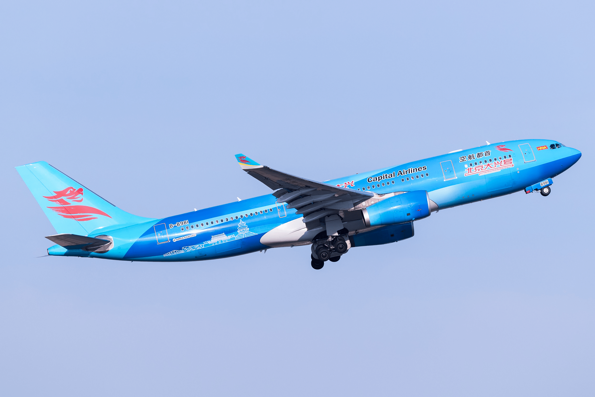 金鹿航空有限公司