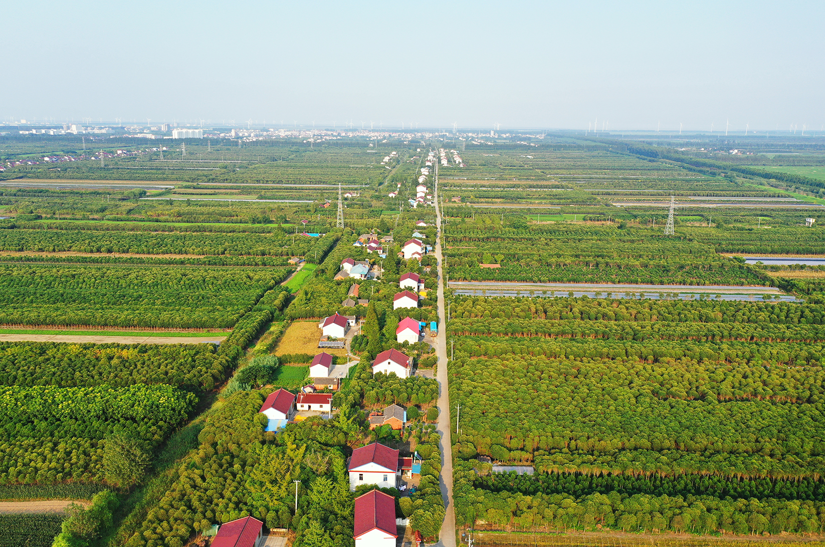  p>三仓镇,隶属于江苏省东台市,是 a target="_blank" href="/item