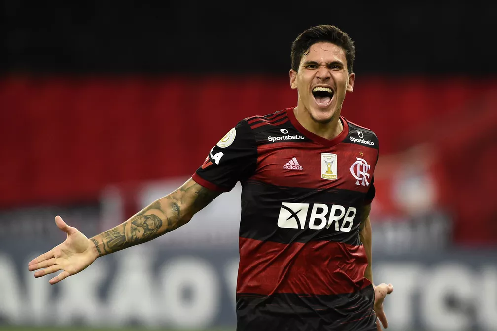 id="tmlgd3lzx4nu">佩德罗·吉列尔梅·阿布雷乌·多斯·桑托斯(pedro