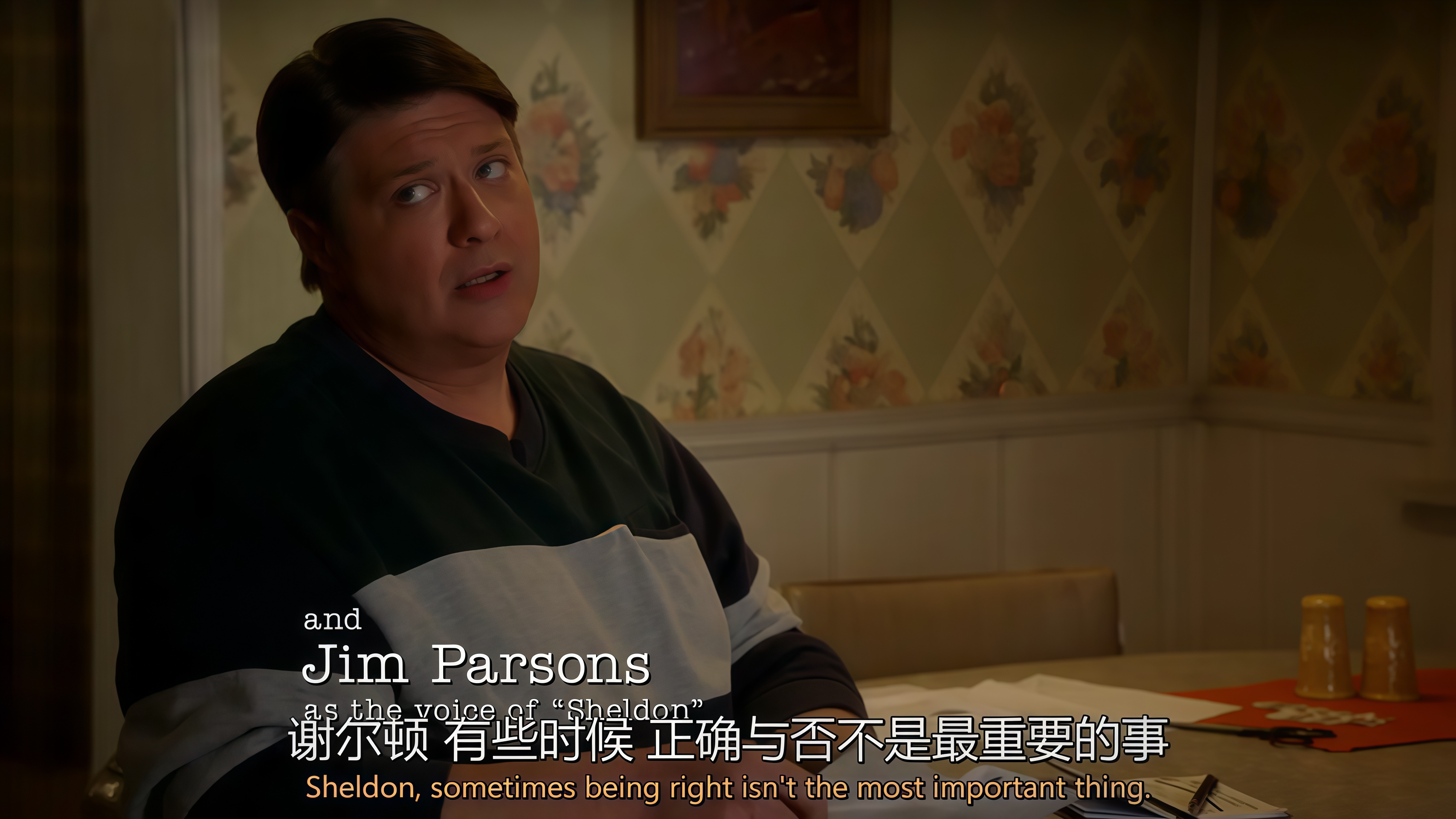 小谢尔顿第四季