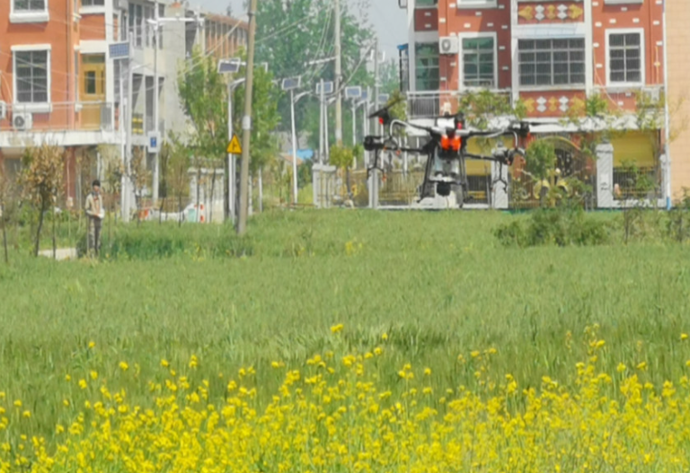 新张集乡,隶属于安徽省亳州市 a target="_blank" href="/item/利辛县