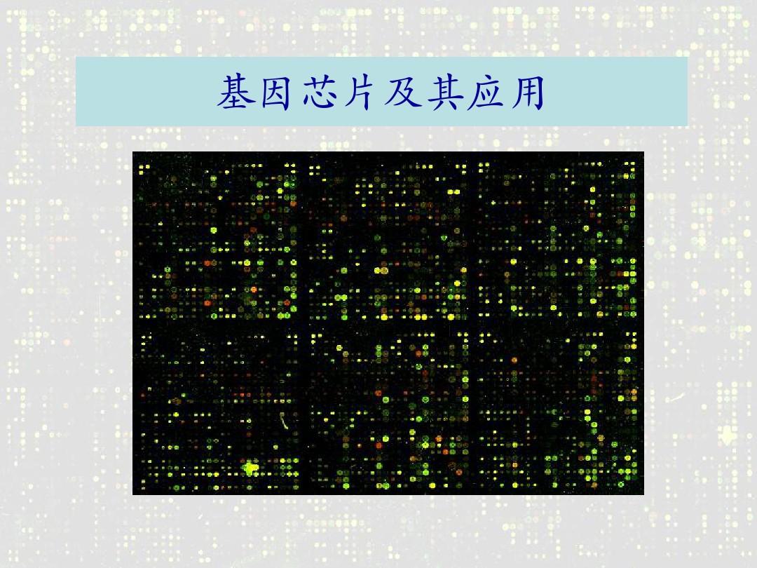 spss探索分析結果分析_spss通徑分析結果分析_ab 結果分析存儲到哪