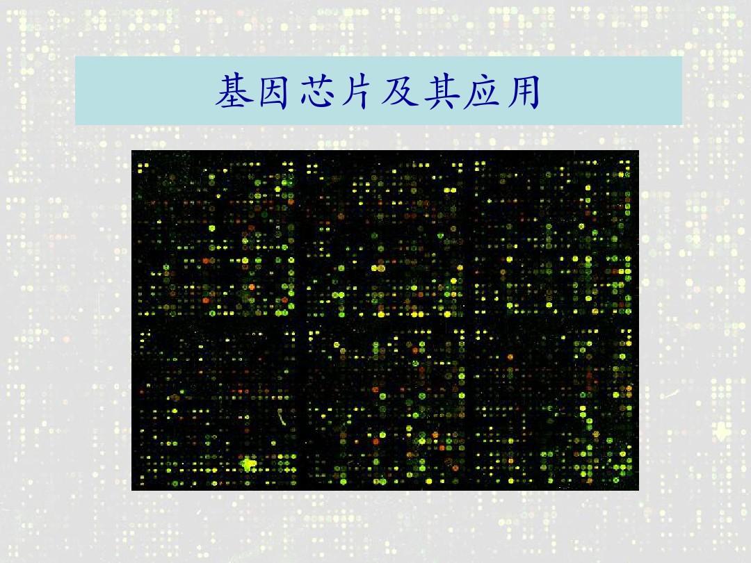 基因芯片技术图片