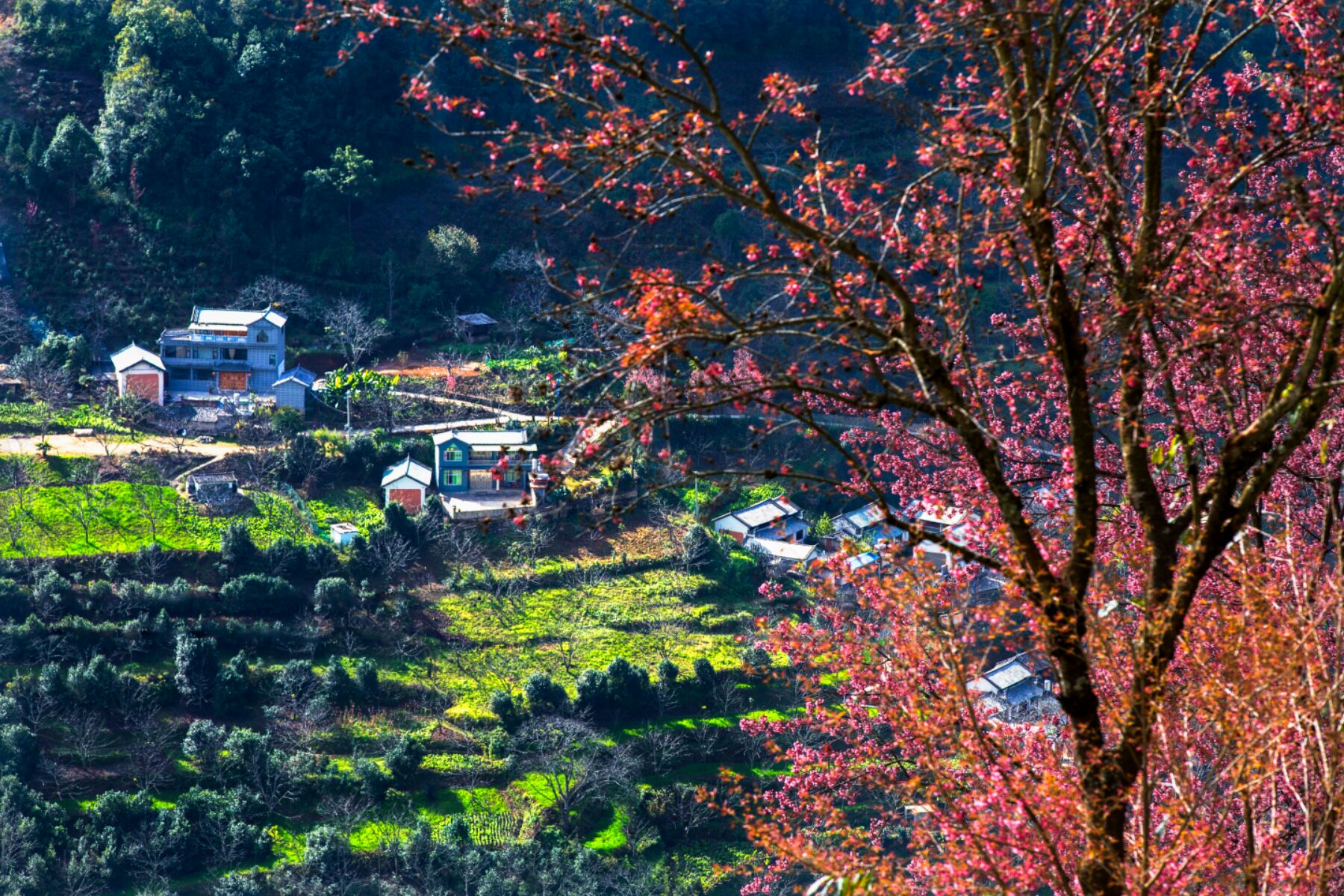 ="go05ulc9zk">无量山镇,隶属于云南省大理白族自治州南涧彝族自治县