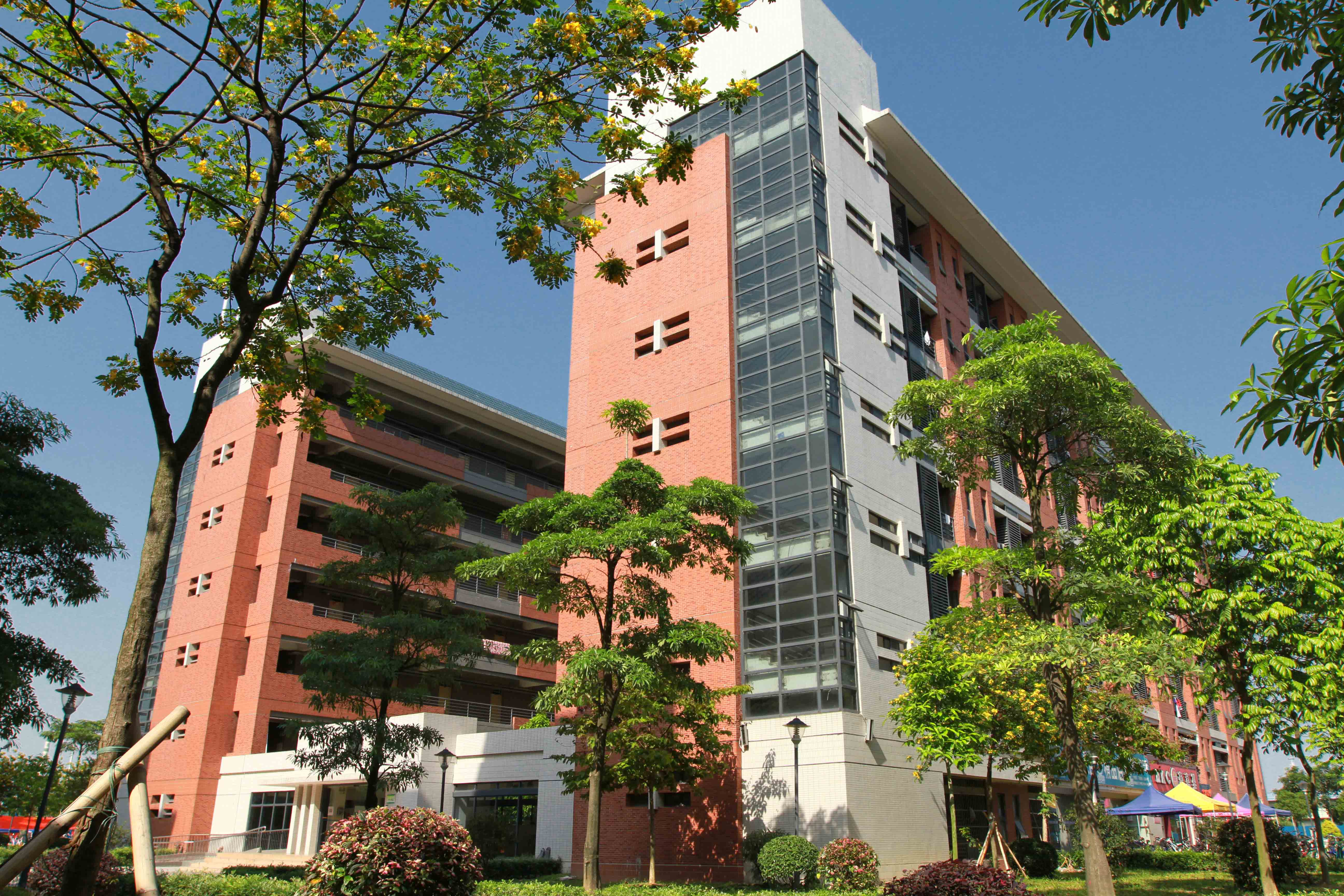 中山大学新华学院国际学院