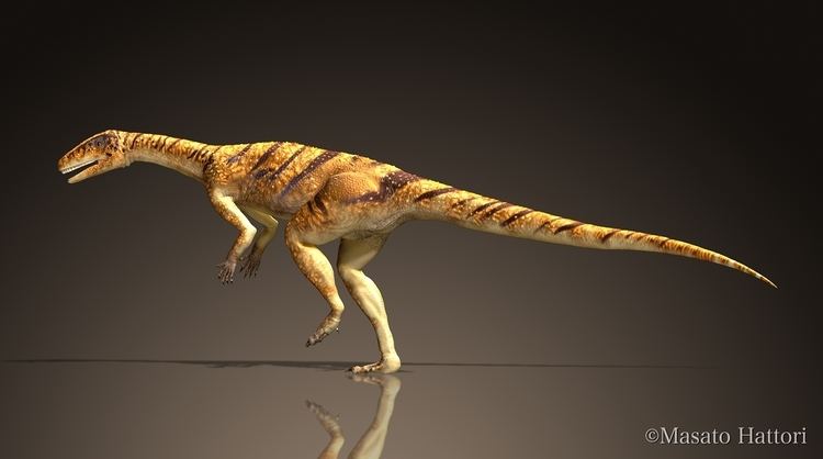 i>sillosuchus/i>又名席尔鳄,是种史前爬行动物,属于镶嵌踝类主龙的