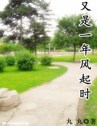 又是一年风起时