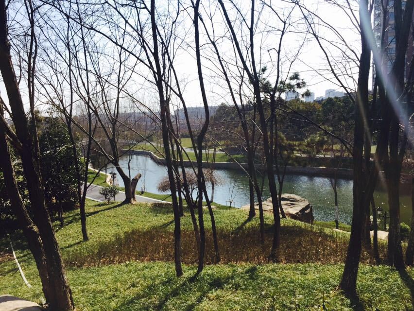 target="_blank" href="/item/宜都">宜都 /a>市枝城镇丹阳公园的简称