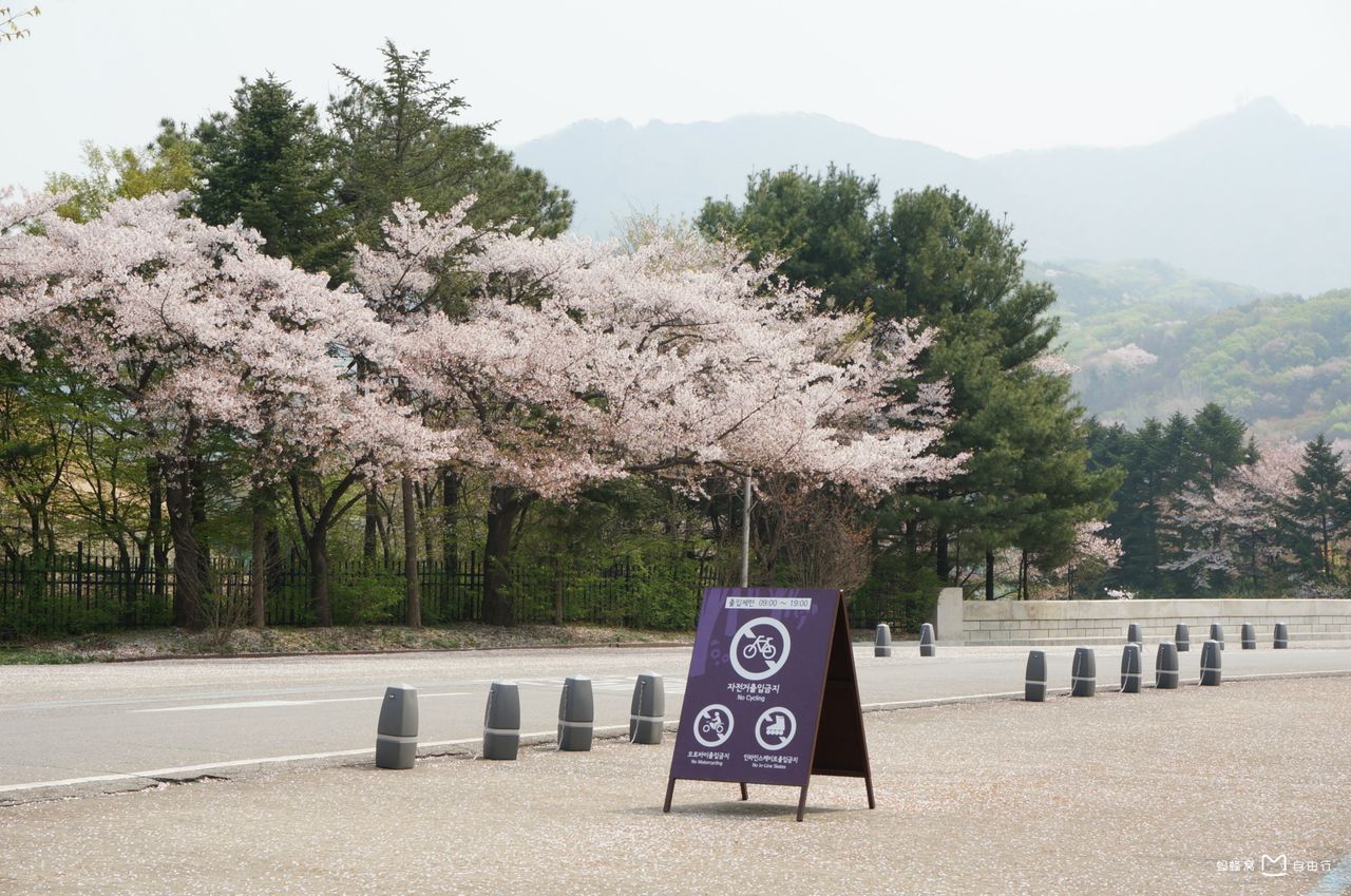  p>位于京畿道果川的首尔大公园是 a href="#" data-lemmaid="6009333