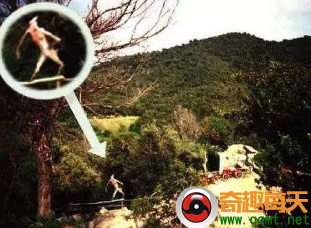  p>泽西恶魔(the jersey devil)是传说中的两足有蹄类飞行生物,身长1