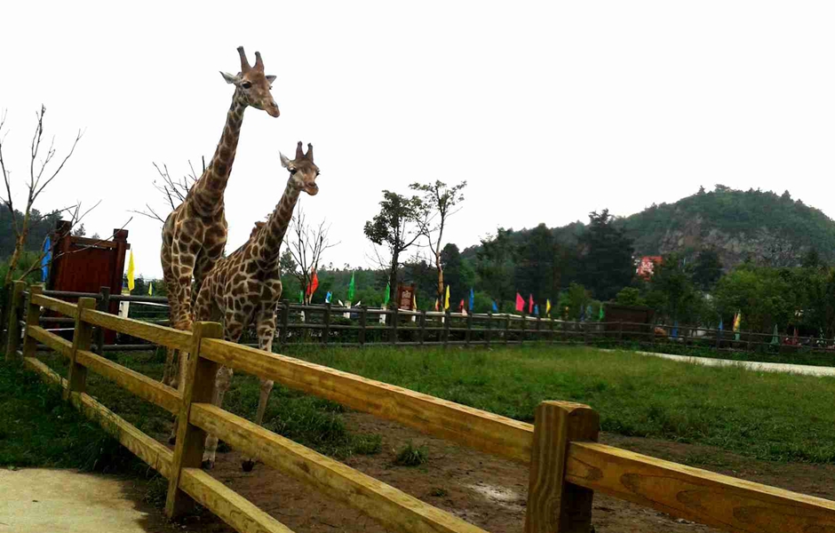 森林野生动物园位于贵阳市 a target="_blank" href="/item/修文县