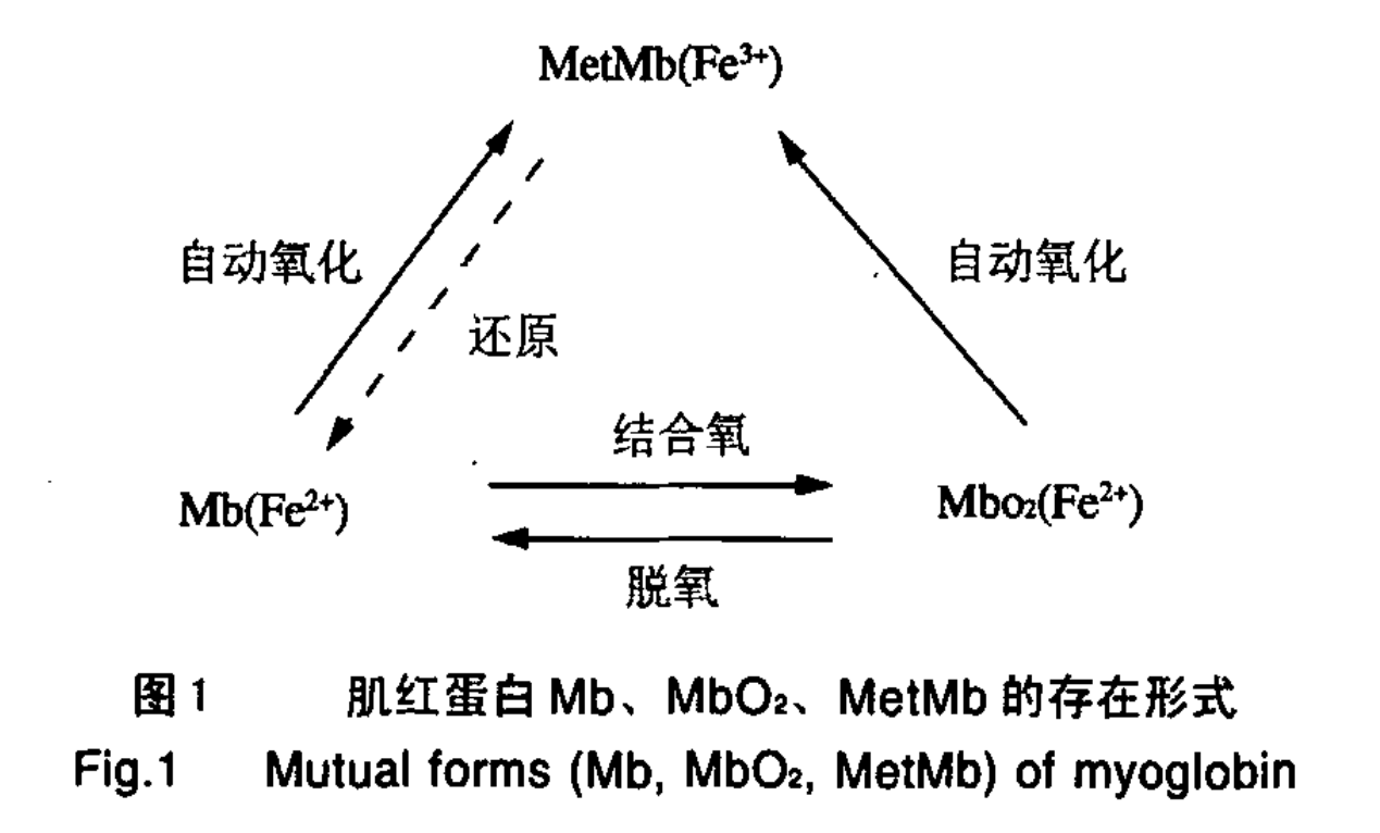  p>一氧化碳(carbon monoxide),一种碳氧化合物,化学式为co,分子量为