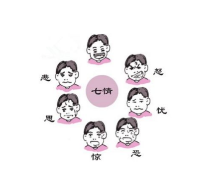 情志（机体对外界环境刺激的不同情绪反应）_百度百科
