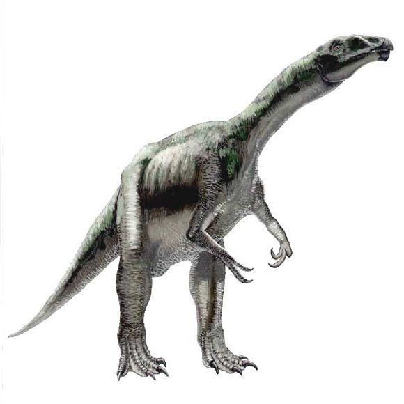  p data-id="gnwrfchwzl">冠龙(学名:corythosaurus),又名盔龙,鸡冠龙