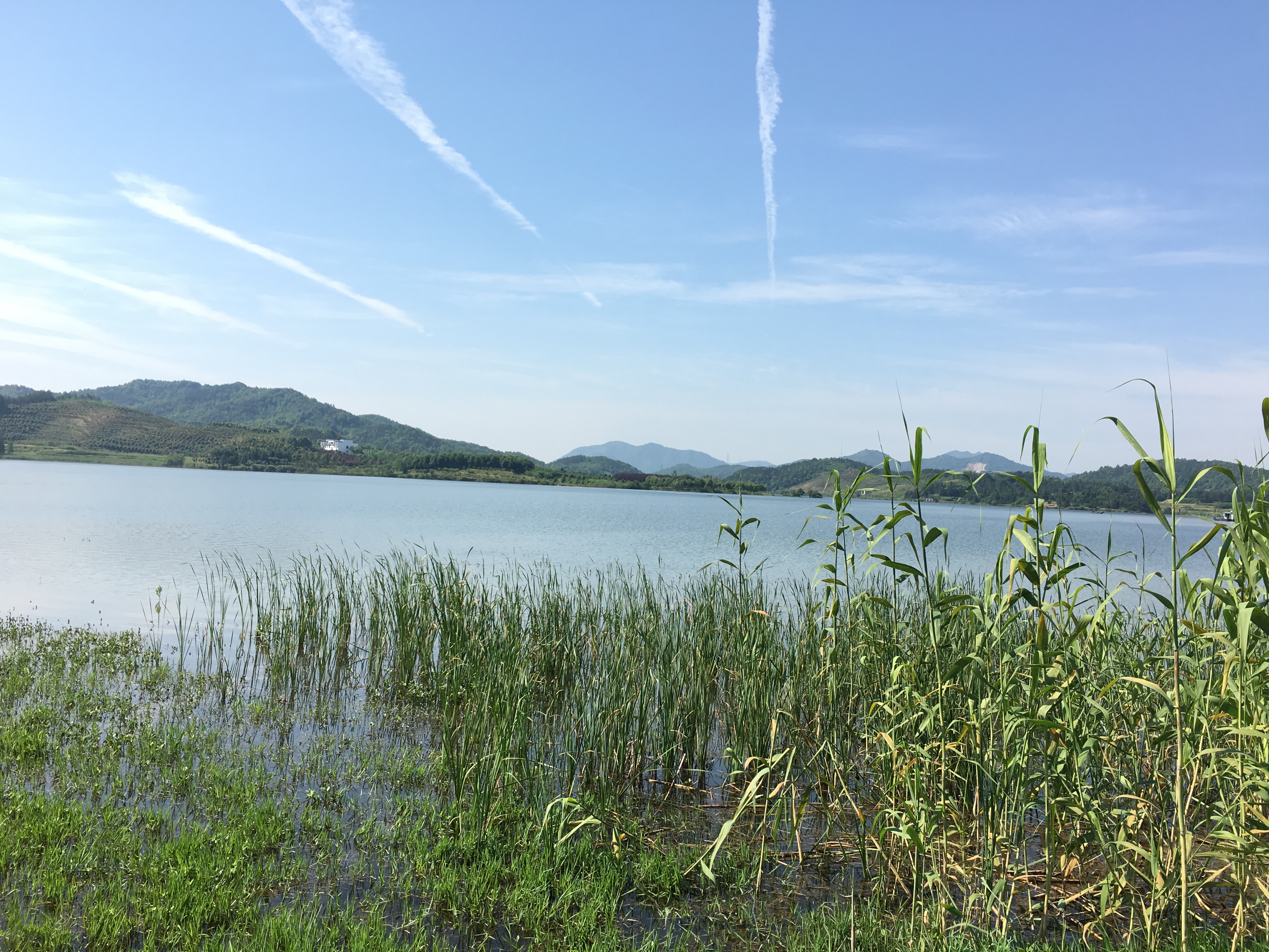  p data-id="gnb1s5bsox">青山湖初名为青山水库,后更名为张院水库,现