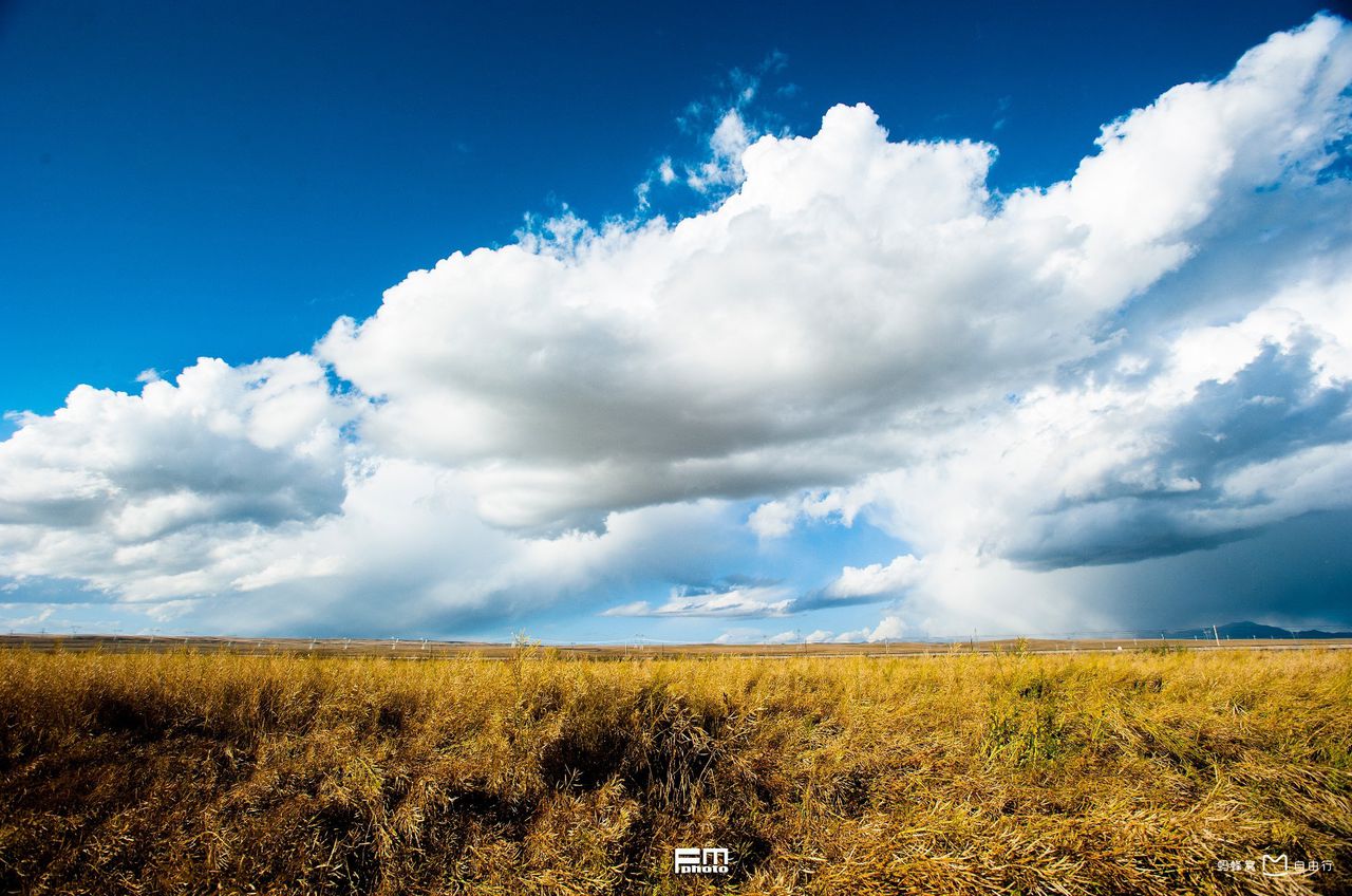  p>金银滩草原,位于青海省  a target="_blank" href="/item/海晏县