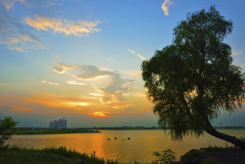 href="/item/新乡市/684641" data-lemmaid="684641">新乡市 /a>平原