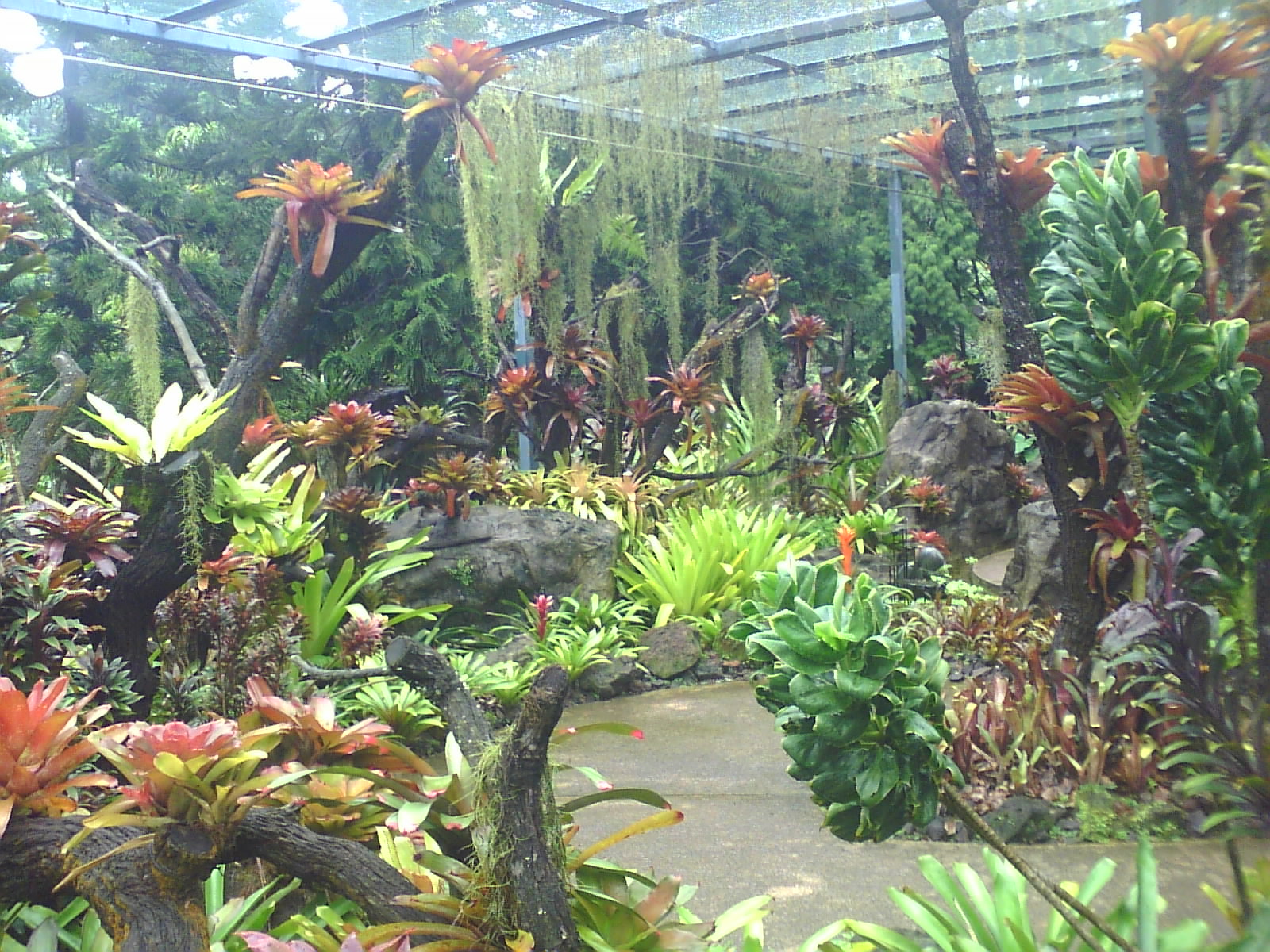  p>新加坡植物园(英文:singapore botanic gardens)是新加坡首个 a