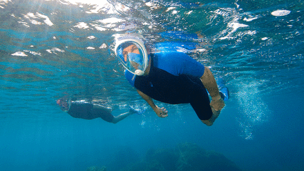 TRIBORD_百度百科