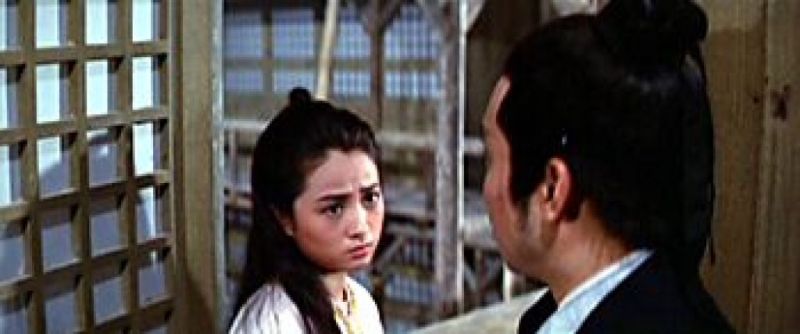  p>《十二金牌》是程刚执导的一部动作武侠电影,洪金宝动作导演, a