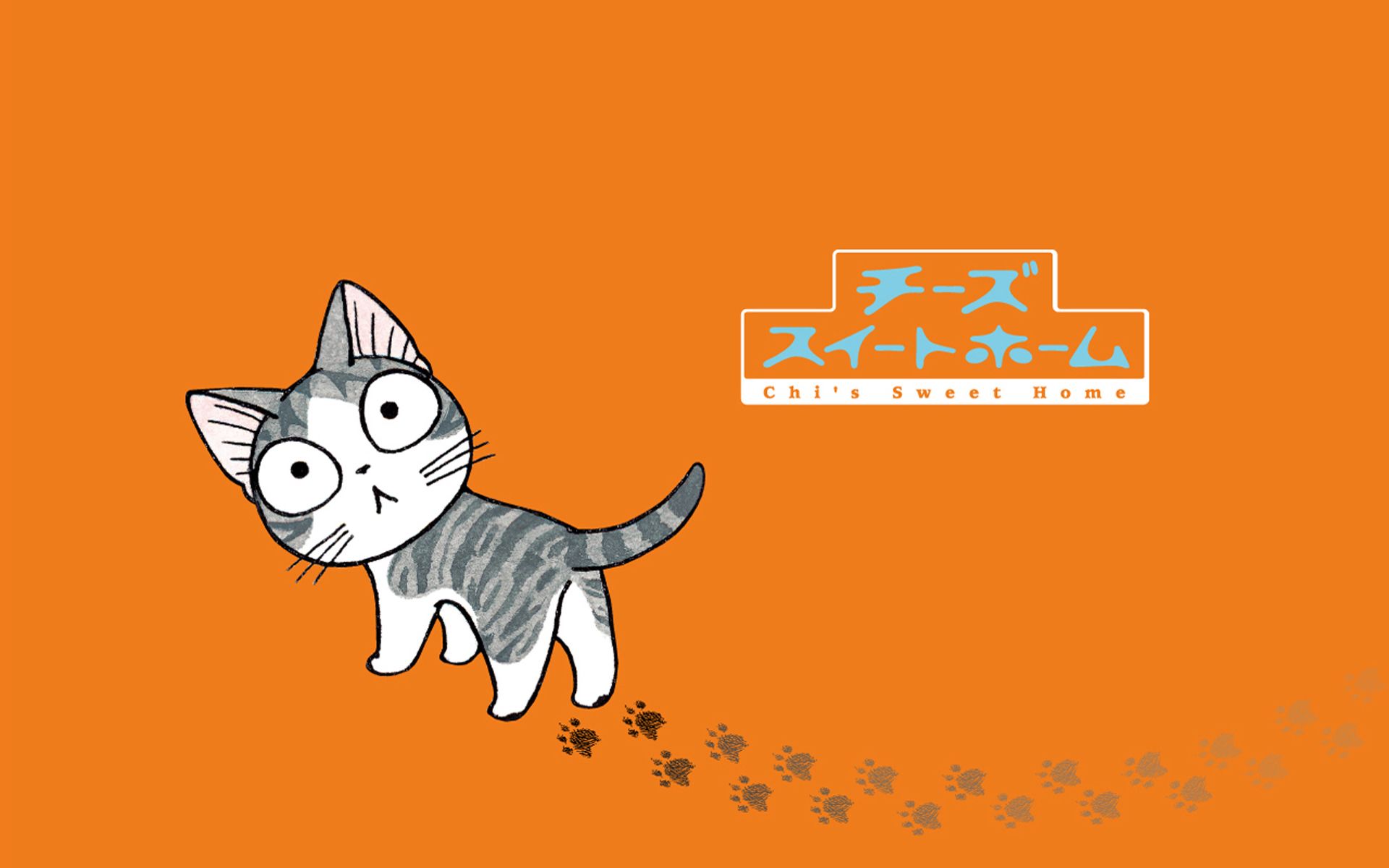 起司猫