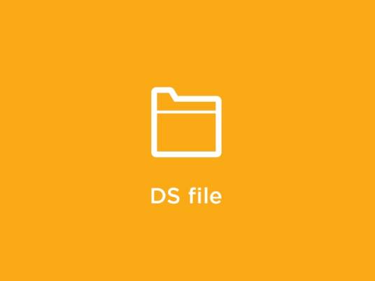 Ds file_百度百科