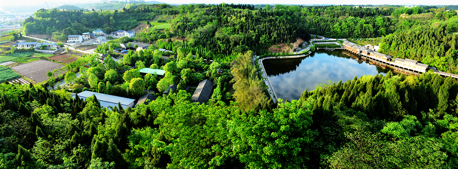  p>晨曦森林度假村,地址位于绵阳市涪城区丰谷镇民扬村一组,滨临涪江