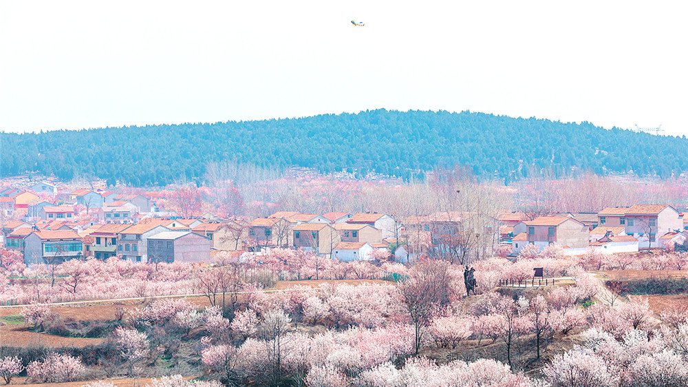  p>圣人窝村(别名樱桃沟)属于江苏省徐州市徐庄镇山黄行政村,该村社会