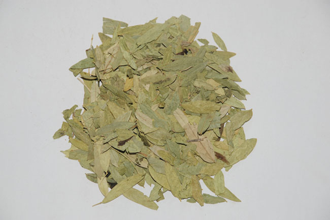  p>番泻叶又名旃那叶,泡竹叶,为豆科植物狭叶番泻或尖叶番泻的小叶,原