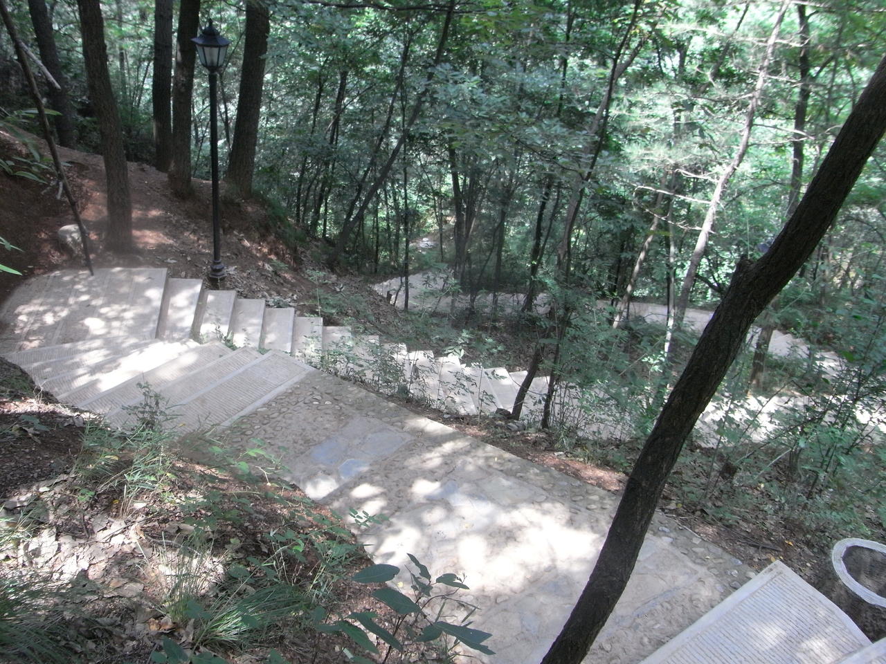 山阳苍龙山森林公园