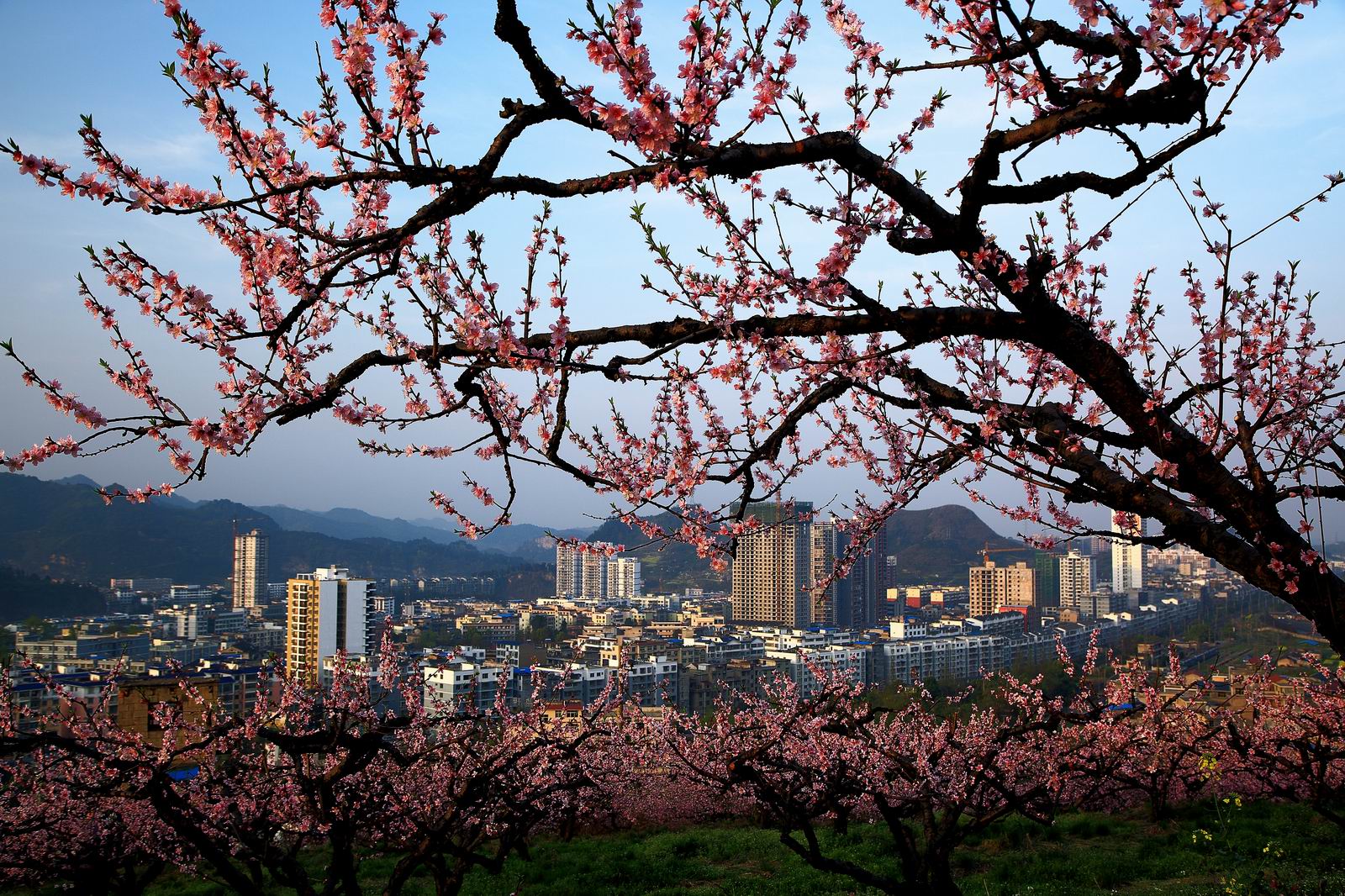 玉屏侗族自治县